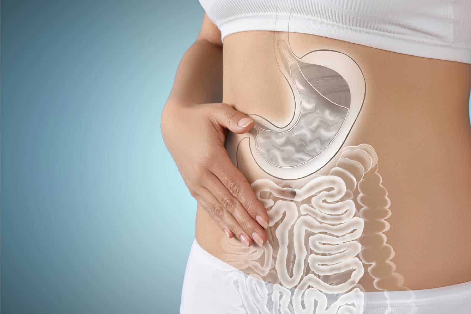 Microbiome - Gut Health & Immunity